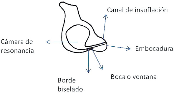 Figura 2. Se describen las secciones de los silbatos, las cuales serán citadas constantemente en el texto. Dibujo de Hugo Brizuela.